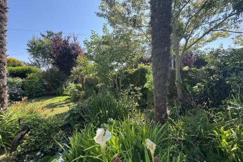 FRONT GARDENS