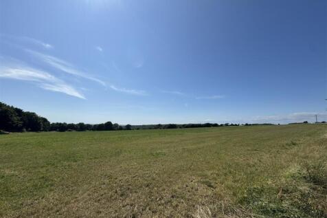 SOUTH DOWNS WALKING