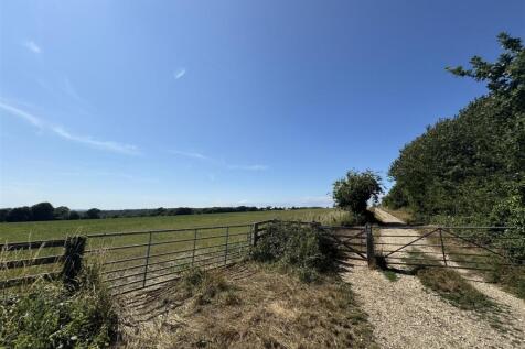 SOUTH DOWNS WALKING