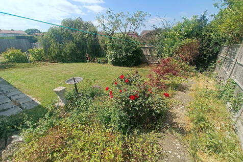 Back garden view 2