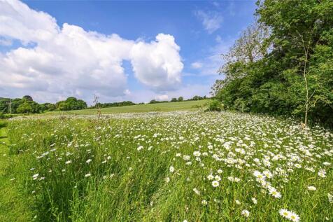 Wild Flower Meadow