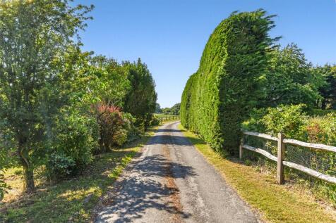 The Lane
