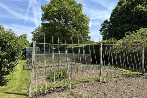 Vegetable Garden