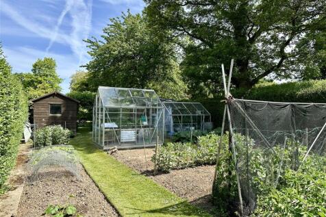 Vegetable Garden