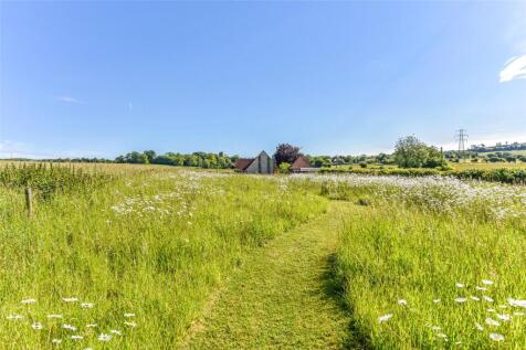Wild Flower Paddock