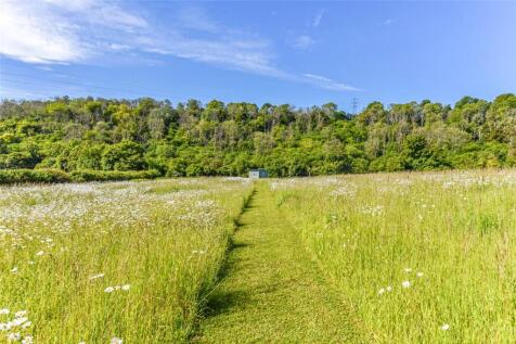 Wild Flower Paddock