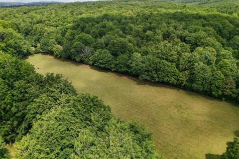 Beechwood &amp; Paddocks