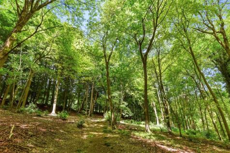 Beechwood &amp; Paddocks