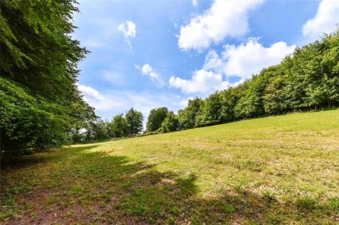 Beechwood &amp; Paddocks