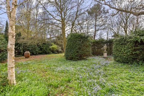 Wooded Area