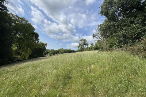 Sycamore Down Farm