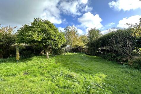 Garden 3.JPG