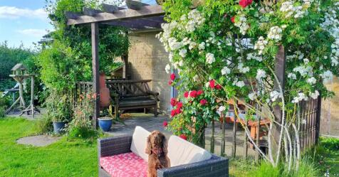 Summer garden