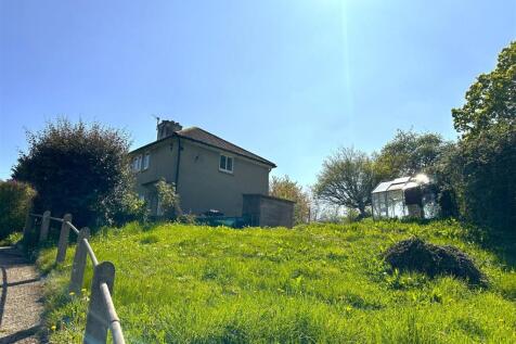 Garden 5