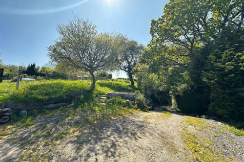 Garden and driveway