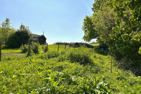 Garden 3