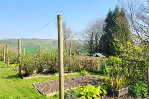 Vegetable garden