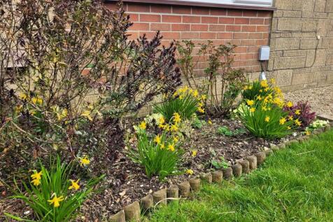 Spring garden