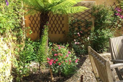 Garden in flower.JPG