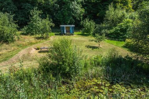 Pond