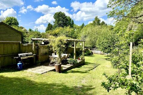 rear garden 2.JPG