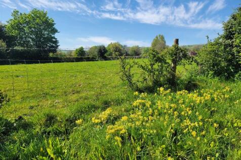 Field view