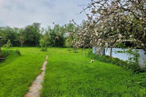 Blossom