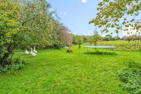 orchard