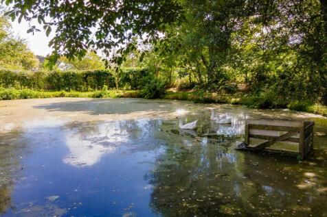 pond