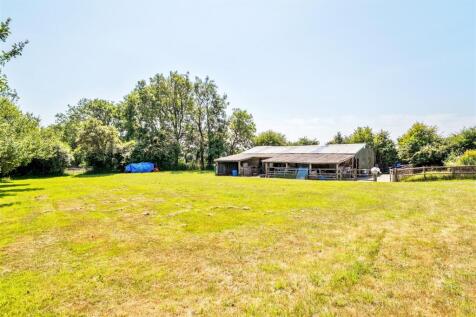 Paddock &#43; Stables