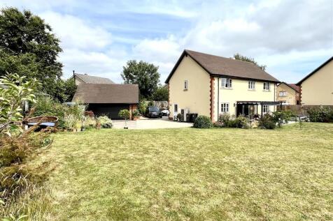 Garden and property