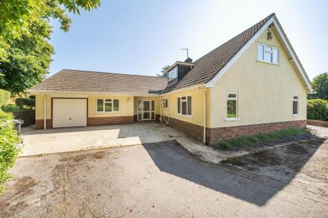Rear Elevation