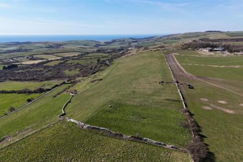 DJI_20250320123341_0019_D.JPG