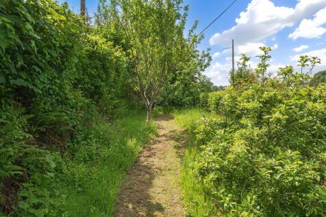 Orchard