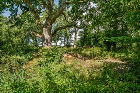 Woodland