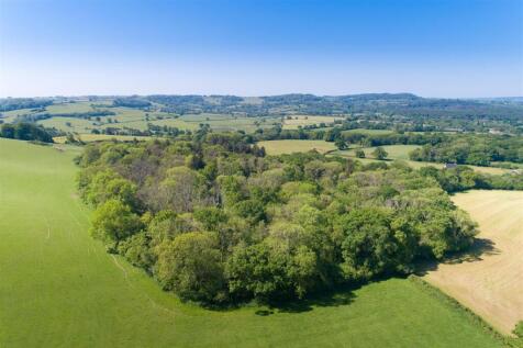 Lot 2 - Broad Alders Copse.jpg
