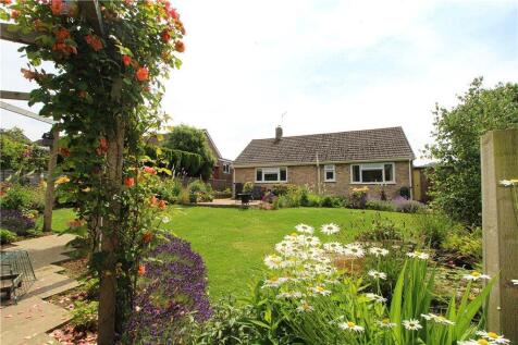 Garden in Summer