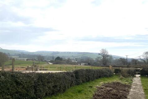 image00003.jpeg