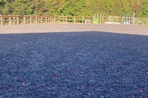 3 paddocks.jpg