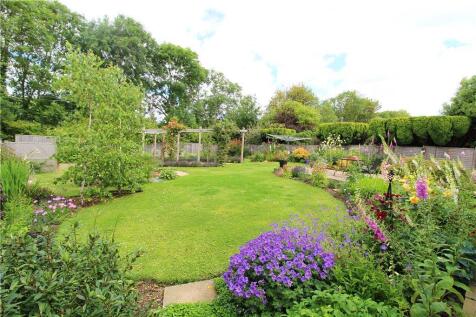 Garden in Summer