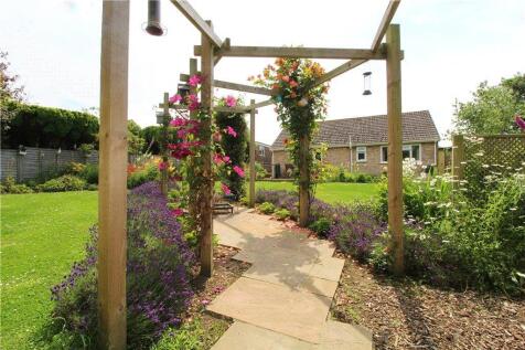 Garden in Summer