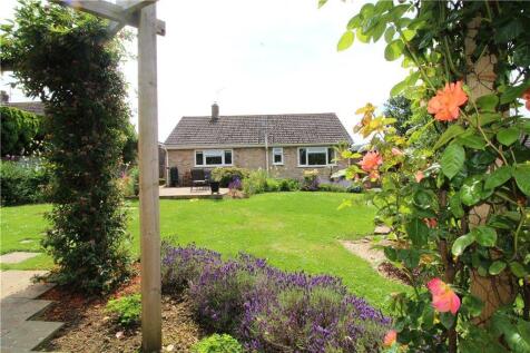 Garden in Summer
