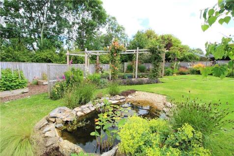 Garden in Summer
