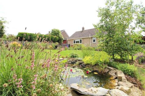 Garden in Summer