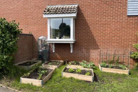 Veg plot.jpg