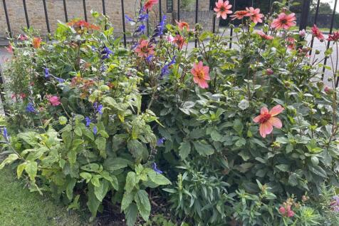 image00003.jpeg