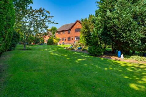 DSC_3271 - Back garden .jpg