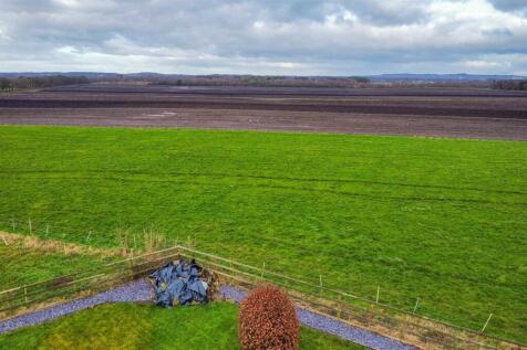 dji_fly_20241209_125326_228_1733748915598_photo_op