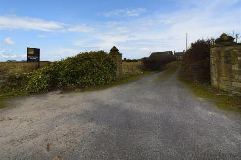 CAM04720G0-PR0007-STILL033.jpg