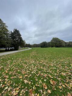 thumbnail_IMG_5969.jpg